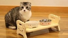 Macska tálak: hogyan válasszunk ételek a cattail számára